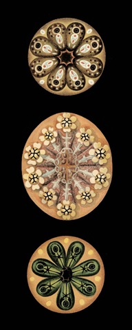 Kaleidoscope Anemone II