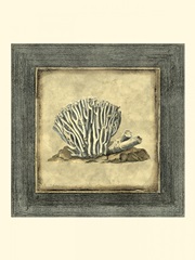 Mini Exotic Coral IX (U)