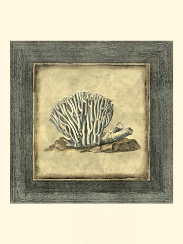 Mini Exotic Coral IX (U)