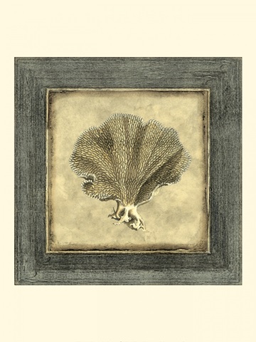 Mini Exotic Coral VI (U)