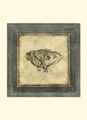 Mini Exotic Coral VII (U)