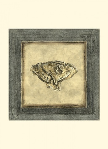 Mini Exotic Coral VII (U)