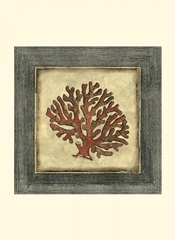 Mini Exotic Coral VIII (U)