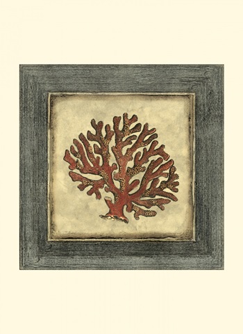 Mini Exotic Coral VIII (U)