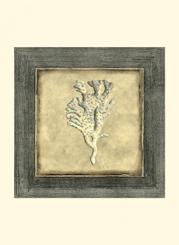 Mini Exotic Coral X (U)