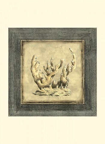 Mini Exotic Coral XII (U)