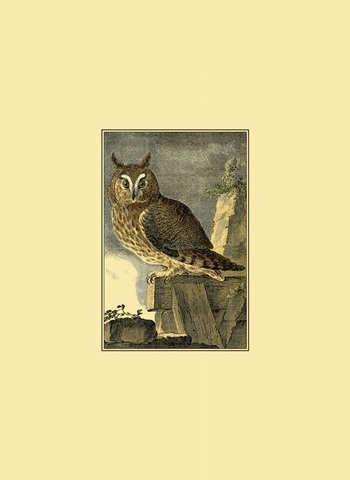 Mini Night Guardian I (IP)