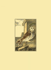 Mini Night Guardian III (IP)