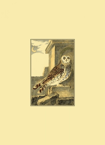 Mini Night Guardian III (IP)