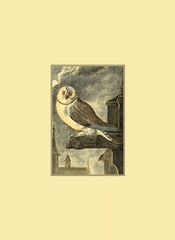 Mini Night Guardian VI (IP)