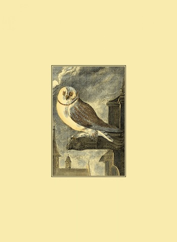 Mini Night Guardian VI (IP)