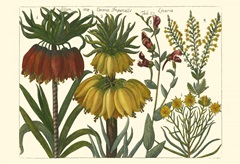 Printed Arena Botanical I