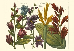 Printed Arena Botanical III