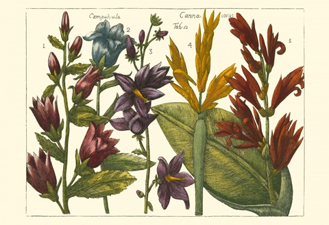 Printed Arena Botanical III