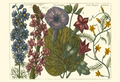 Printed Arena Botanical IV