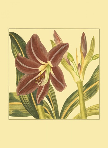 Printed Poetic Blossoms II (HI)