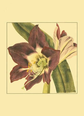 Printed Poetic Blossoms III (HI)