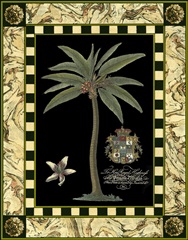 Small Bordered Palm (IP) I