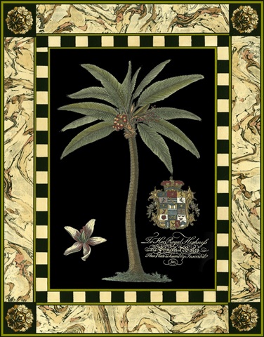 Small Bordered Palm (IP) I
