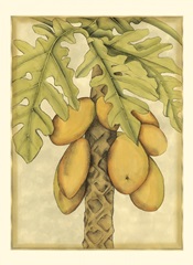 Small Graphic Palms I (P)