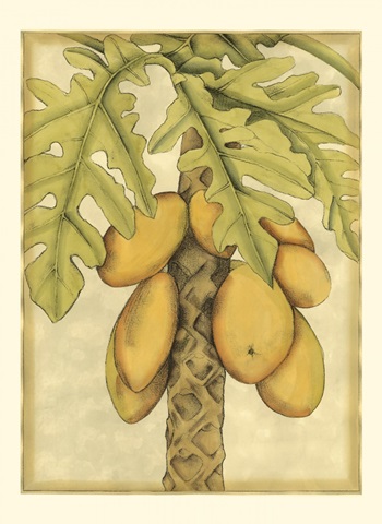 Small Graphic Palms I (P)