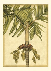 Small Graphic Palms II (P)