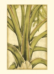 Small Graphic Palms III (P)