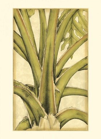 Small Graphic Palms III (P)