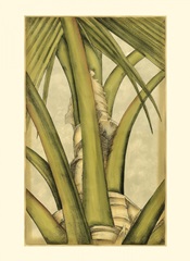 Small Graphic Palms IV (P)