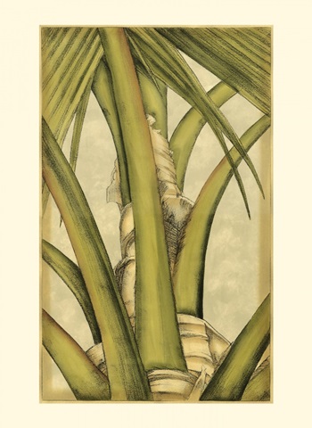 Small Graphic Palms IV (P)