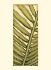 Small Graphic Palms V (P)