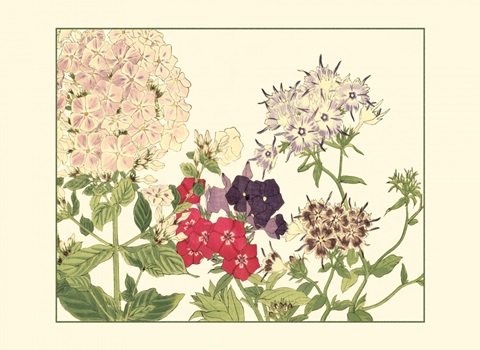 Small Japanese Flower Garden II