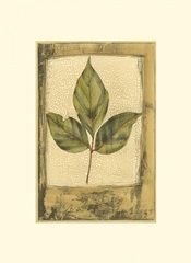 Small Spring Foliage II (U)