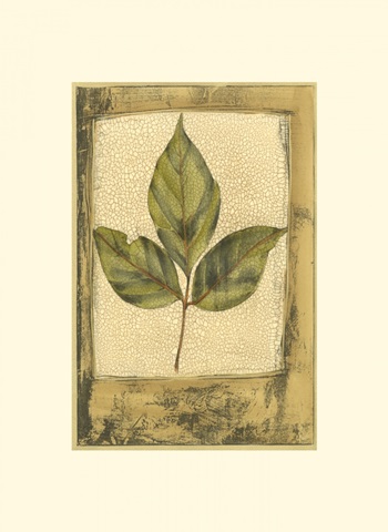 Small Spring Foliage II (U)