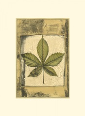 Small Spring Foliage III (U)