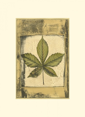 Small Spring Foliage III (U)