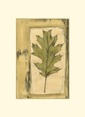 Small Spring Foliage V (U)