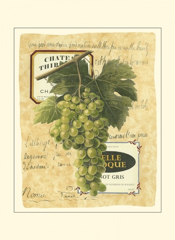 Small White Grapes II