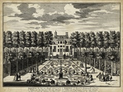 Views of Amsterdam I