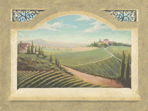 Vineyard Window I