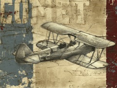 Vintage Aircraft I