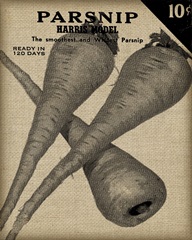 Vintage Seed Pack IV