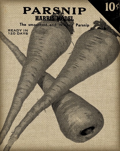 Vintage Seed Pack IV