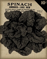 Vintage Seed Pack VI