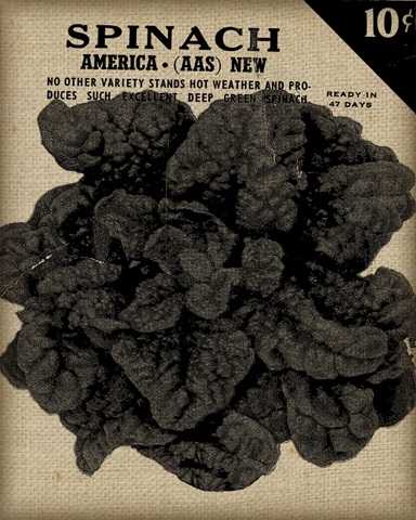 Vintage Seed Pack VI