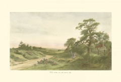 Where Heather Vies with Crimson Sky