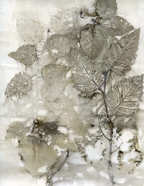 Birch Leaves I