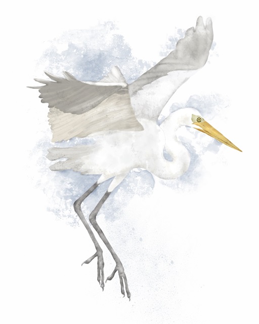 Coastal Heron II