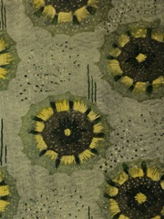 Delicate Deco Pattern VI