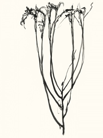 Naive Flower Sketch II